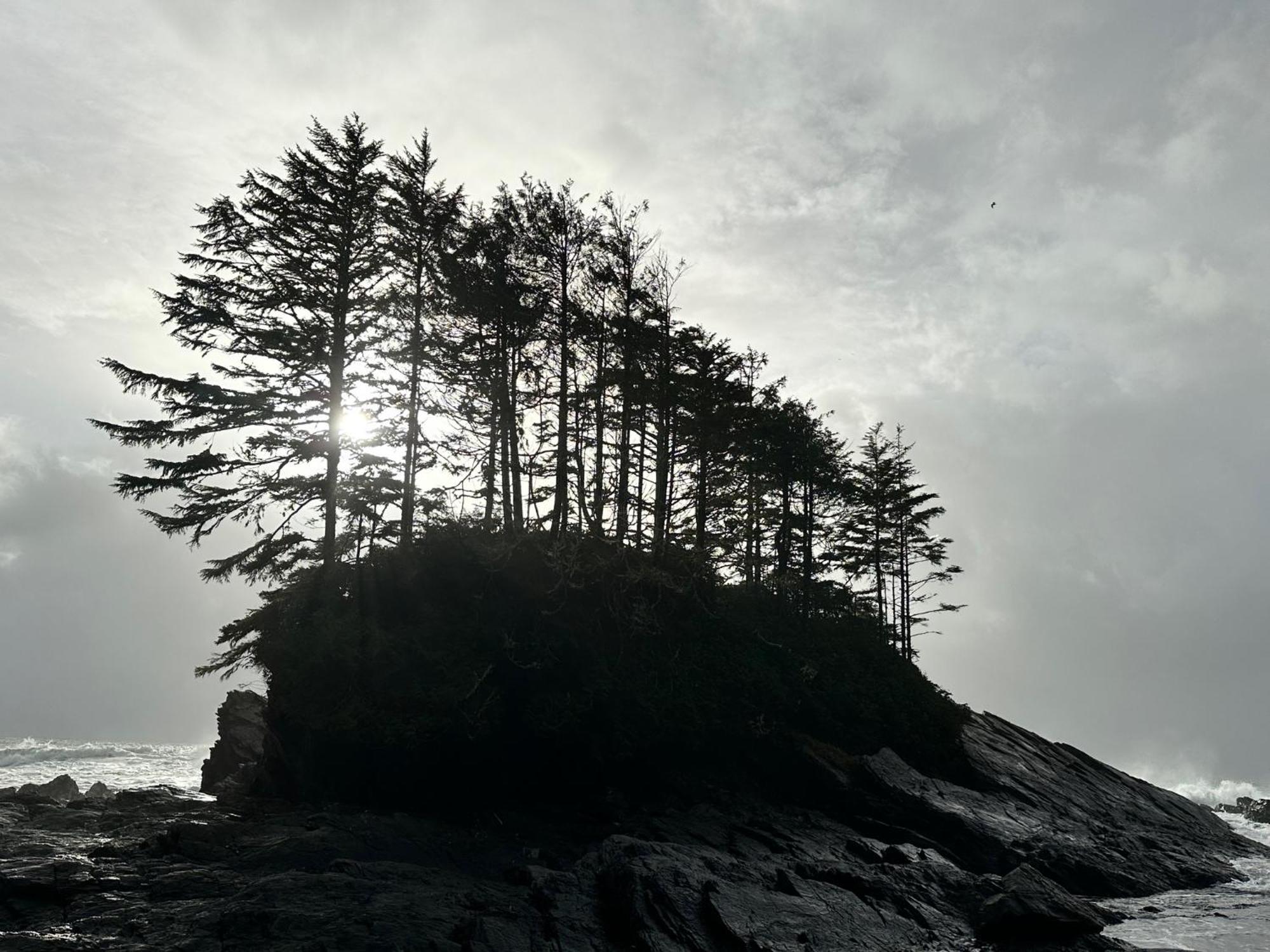 Bjorn Holm Vila Port Renfrew Exterior foto